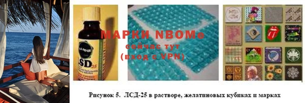 гидра Алексин