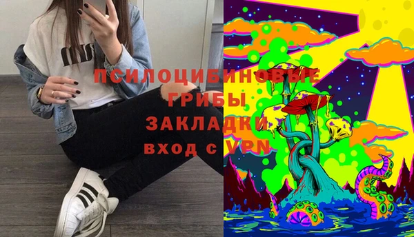 метадон Алексеевка