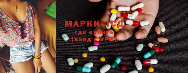 гидра Алексин
