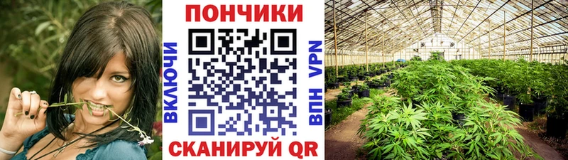 Канабис OG Kush где найти Апшеронск